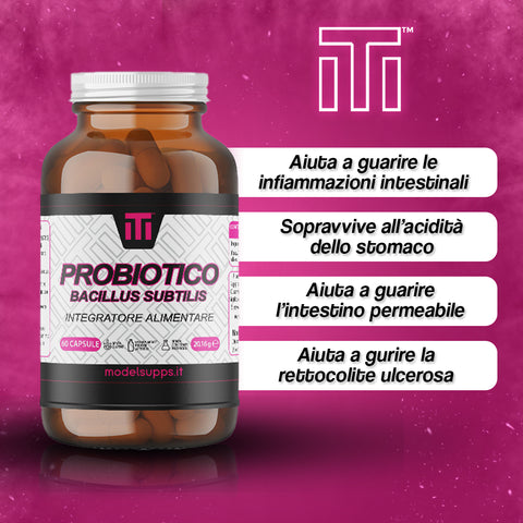 PROBIOTICO Bacillus subtilis - 60 cps