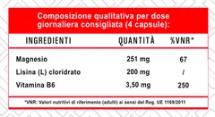 Magnesium + LYSINA - 90 cps