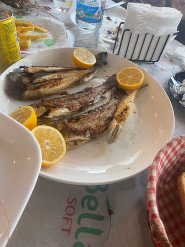 Foto recensione di Elona E.